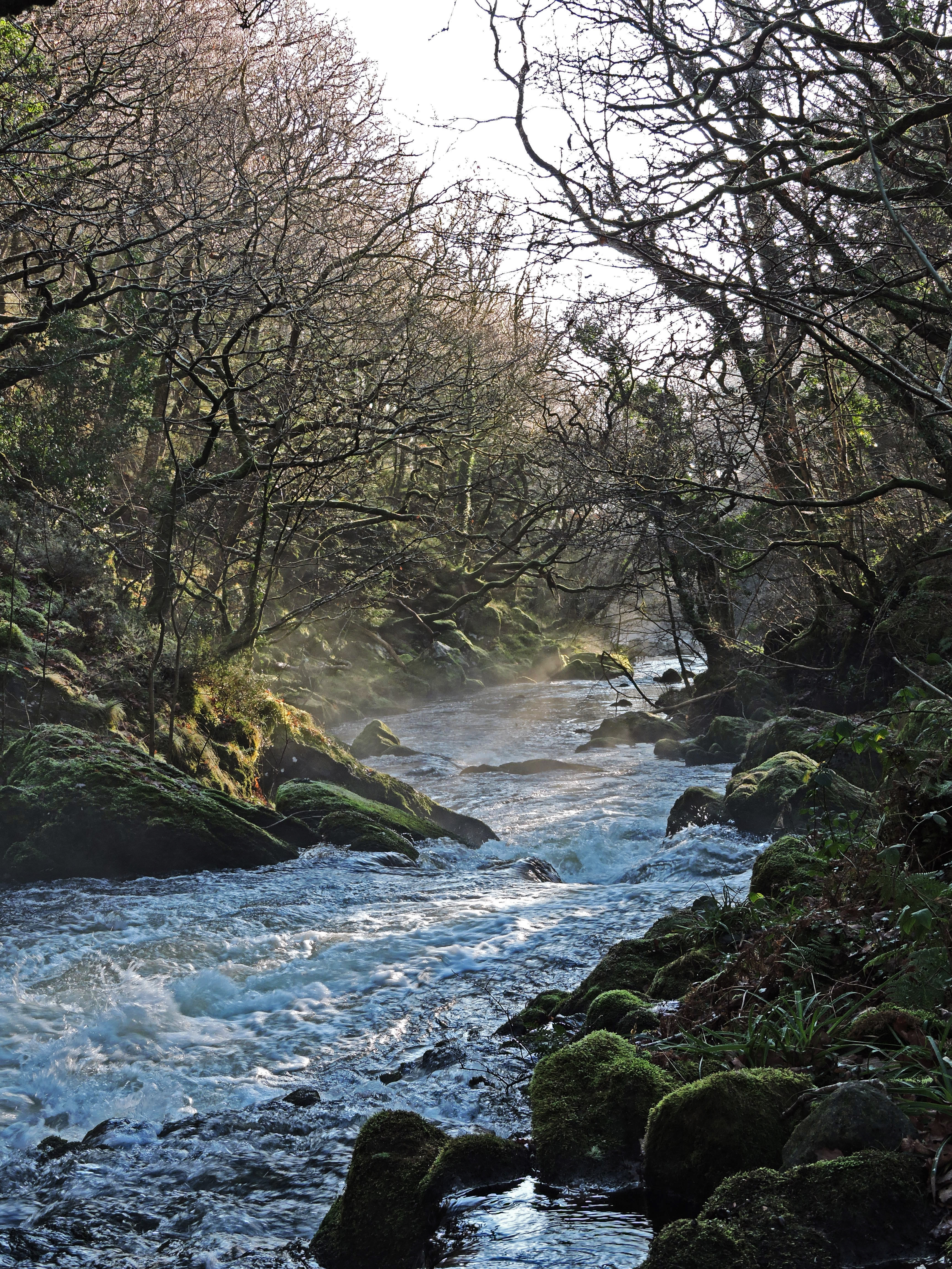 ANOTHER MISTY CLYWEDOG. Bill Bagley Photography